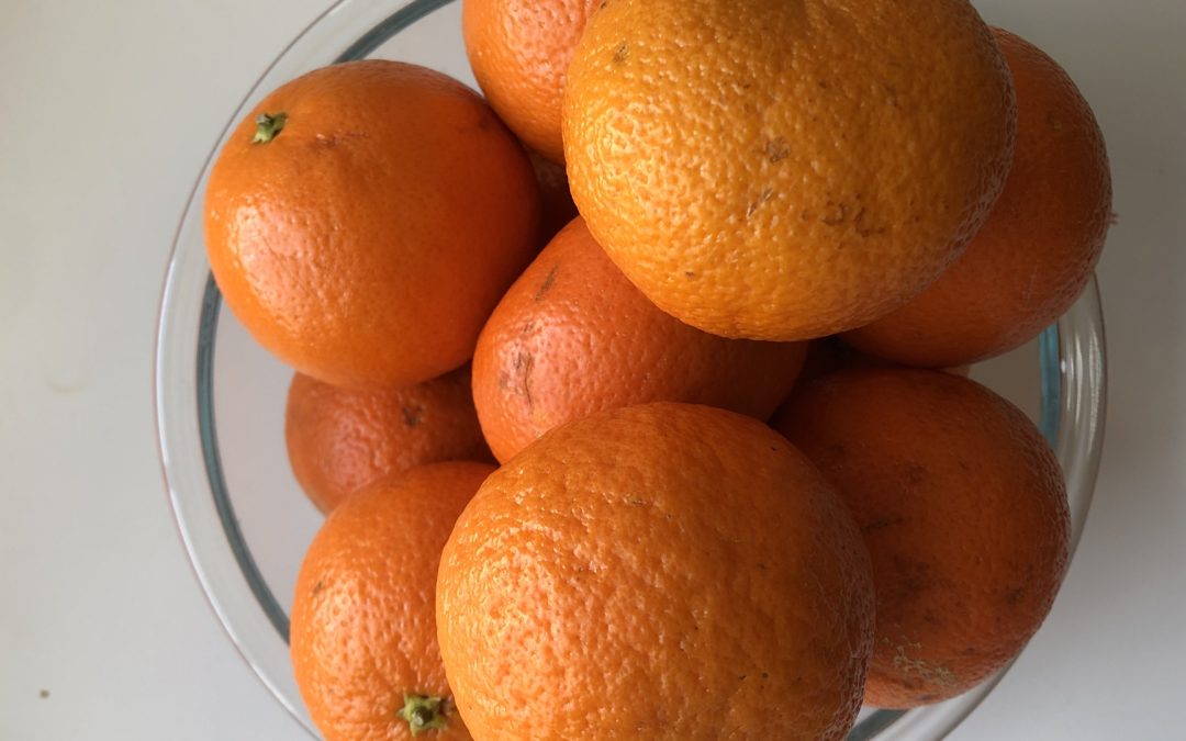 Oranges – Day 30 of 365