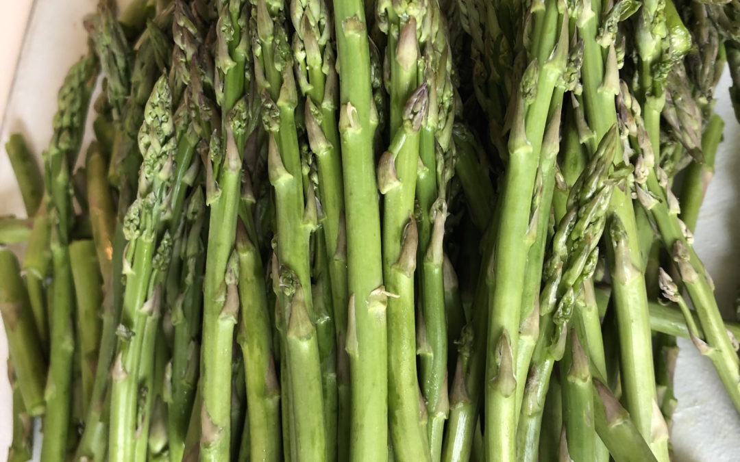 Vegan Asparagus Soup – Recipe 8 of 365